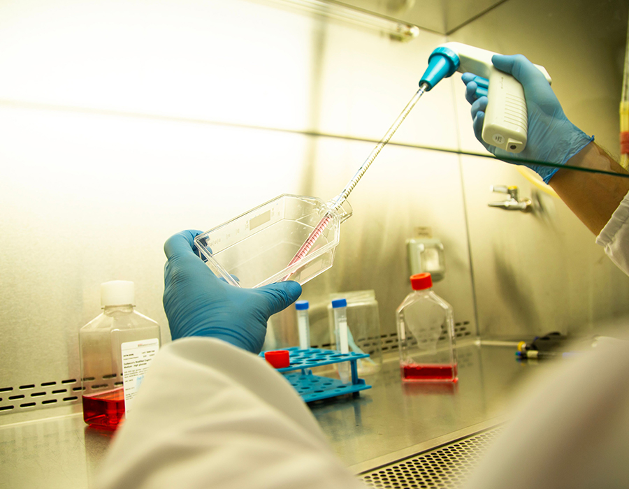 Biotecnologia e Farmacêutica