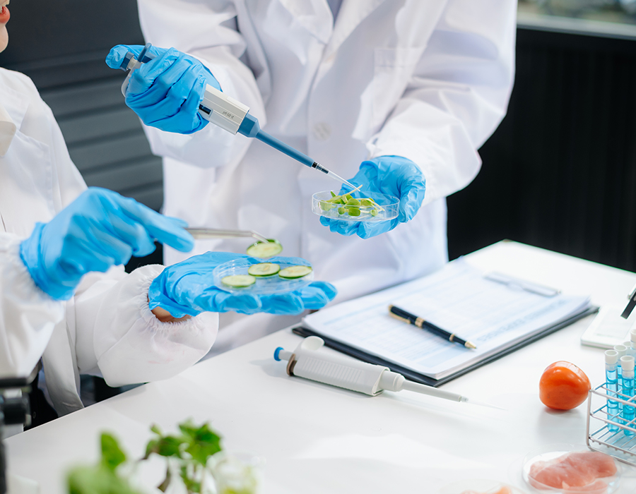Testes Alimentares e Ambientais
